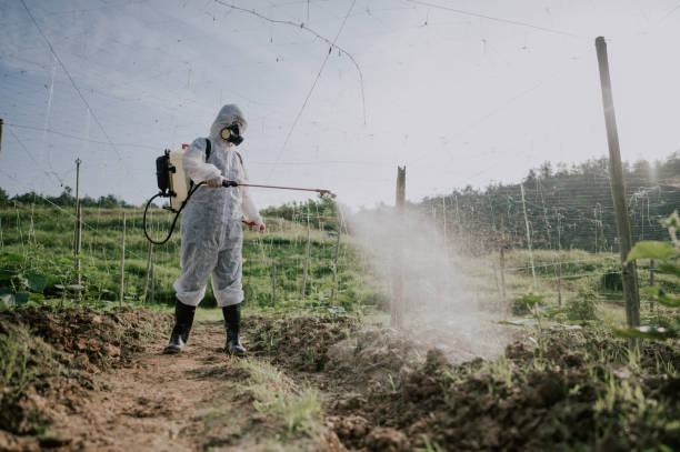 Professional Pest Control in Piperton, TN