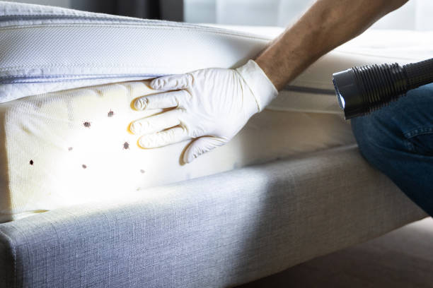 Best Best Pest Control Companies  in Piperton, TN