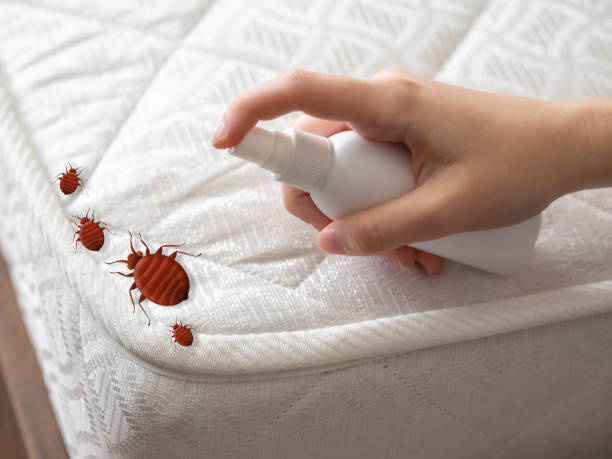 Best Pest Prevention Services  in Piperton, TN
